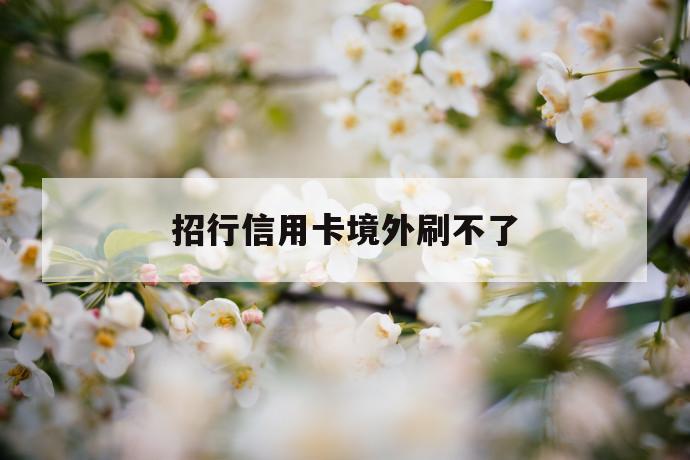 招行信用卡境外刷不了 第1张 招行信用卡境外刷不了 第1张