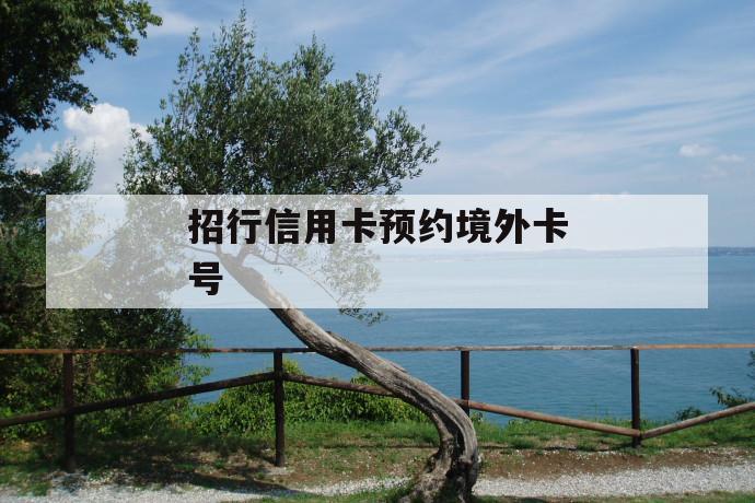 招行信用卡预约境外卡号 第1张 招行信用卡预约境外卡号 第1张