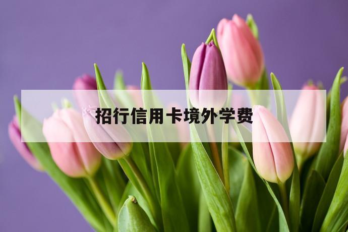 招行信用卡境外学费 第1张 招行信用卡境外学费 第1张