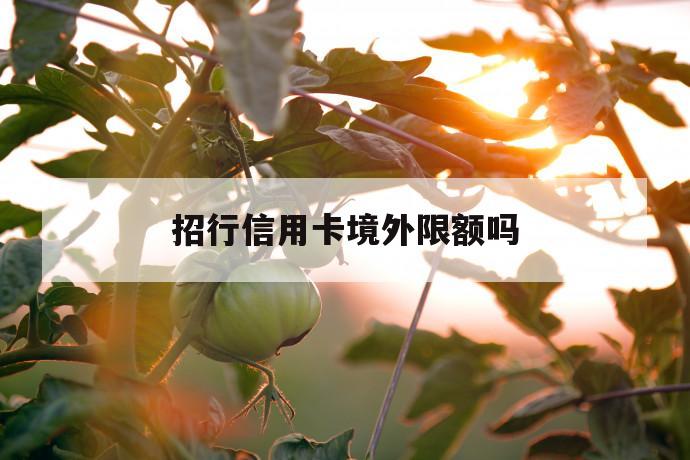 招行信用卡境外限额吗 第1张 招行信用卡境外限额吗 第1张