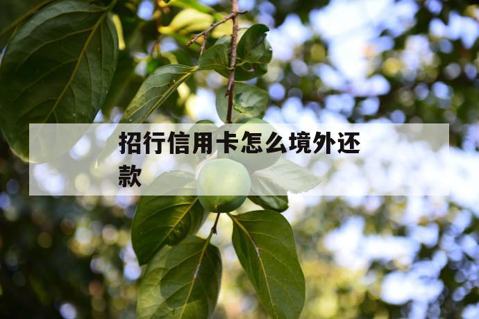 招行信用卡怎么境外还款 第1张 招行信用卡怎么境外还款 第1张
