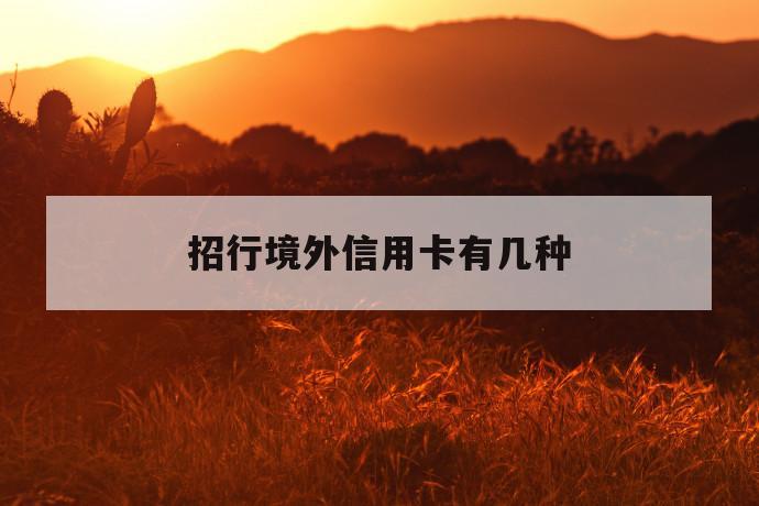 招行境外信用卡有几种 第1张 招行境外信用卡有几种 第1张