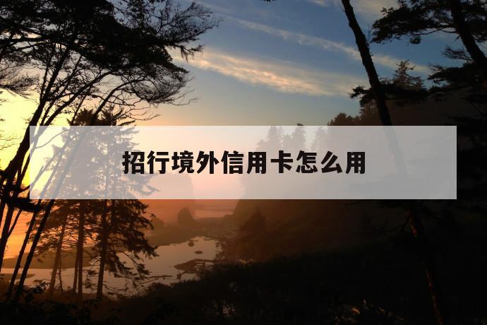 招行境外信用卡怎么用 第1张 招行境外信用卡怎么用 第1张