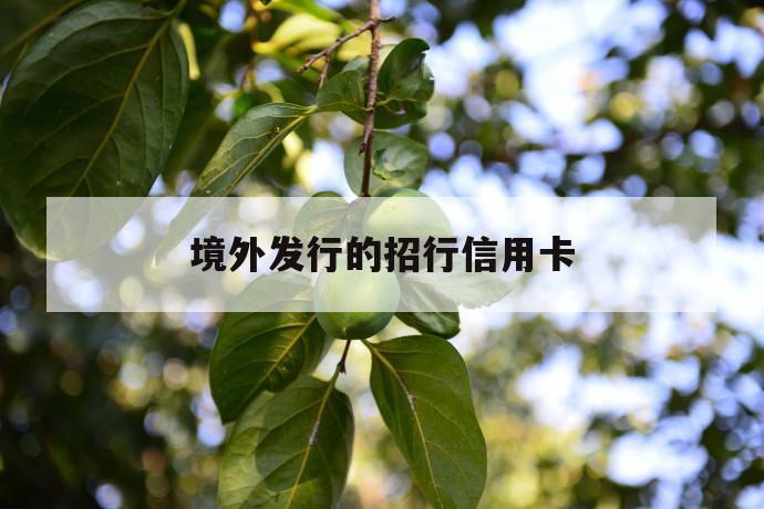境外发行的招行信用卡 第1张 境外发行的招行信用卡 第1张