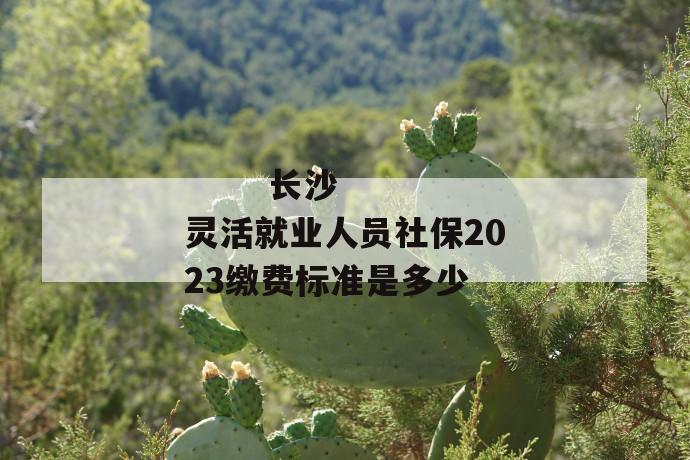 长沙灵活就业人员社保2023缴费标准是多少
长沙灵活就业人员社保2023缴费标准是多少
