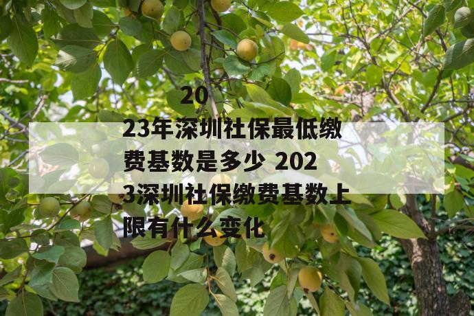2023年深圳社保最低缴费基数是多少 2023深圳社保缴费基数上限有什么变化
2023年深圳社保最低缴费基数是多少 2023深圳社保缴费基数上限有什么变化