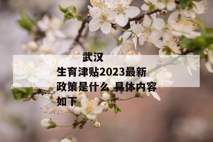 武汉生育津贴2023最新政策是什么 具体内容如下
武汉生育津贴2023最新政策是什么 具体内容如下