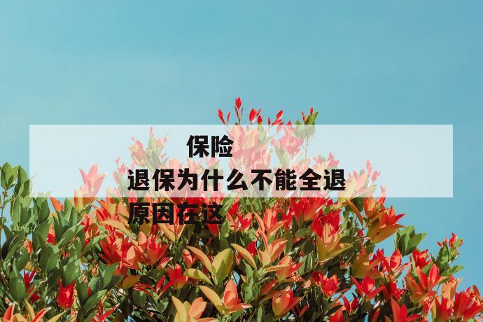 保险退保为什么不能全退 原因在这
保险退保为什么不能全退 原因在这