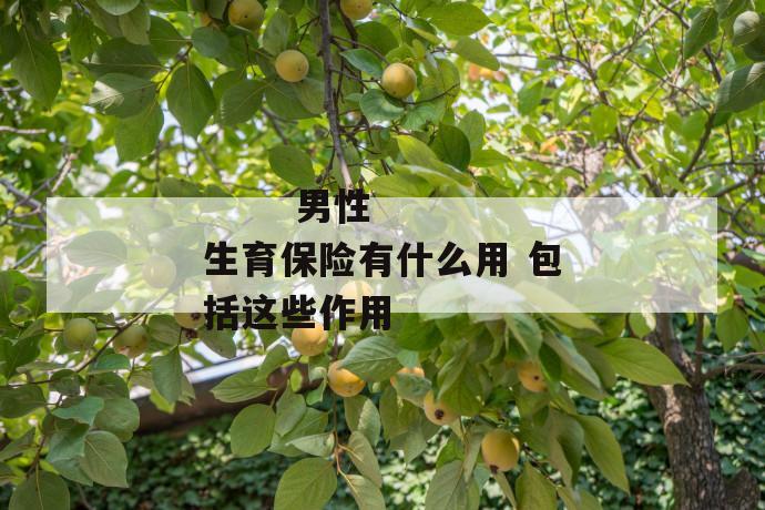 男性生育保险有什么用 包括这些作用
男性生育保险有什么用 包括这些作用
