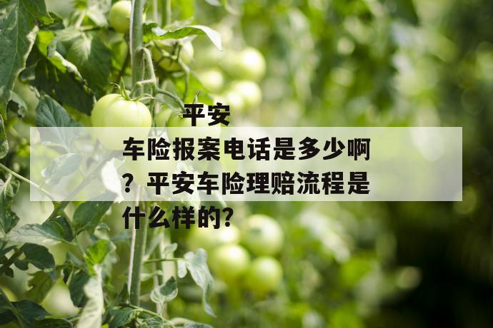 平安车险报案电话是多少啊?平安车险理赔流程是什么样的?
平安车险报案电话是多少啊?平安车险理赔流程是什么样的?