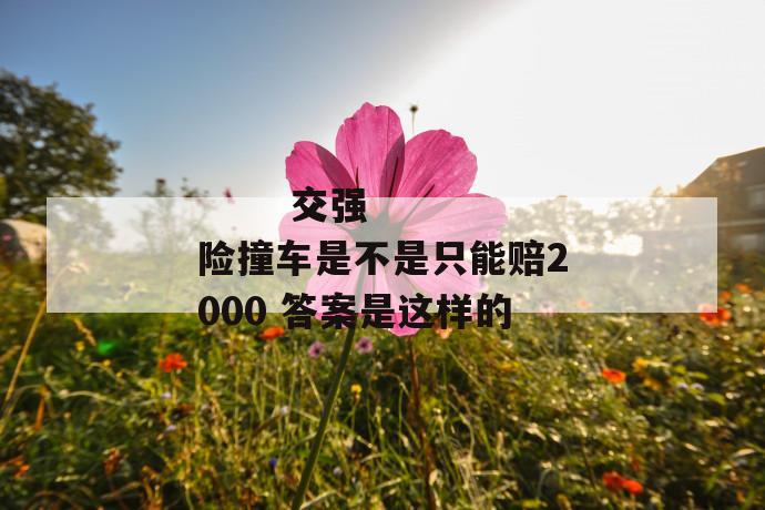 交强险撞车是不是只能赔2000 答案是这样的
交强险撞车是不是只能赔2000 答案是这样的
