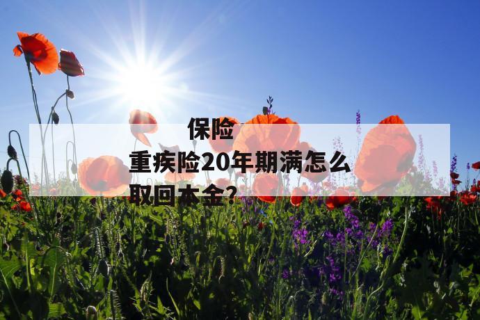 保险重疾险20年期满怎么取回本金?
保险重疾险20年期满怎么取回本金?