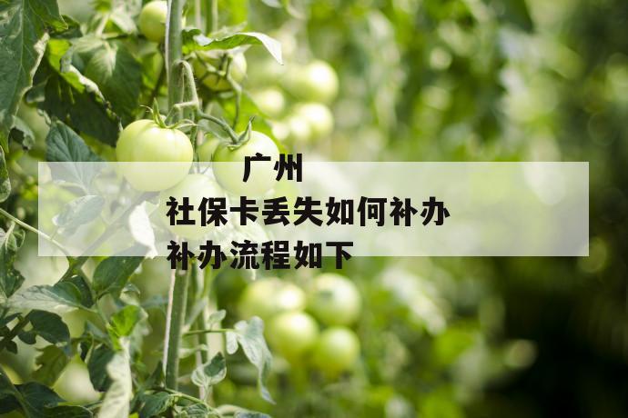 广州社保卡丢失如何补办 补办流程如下
广州社保卡丢失如何补办 补办流程如下