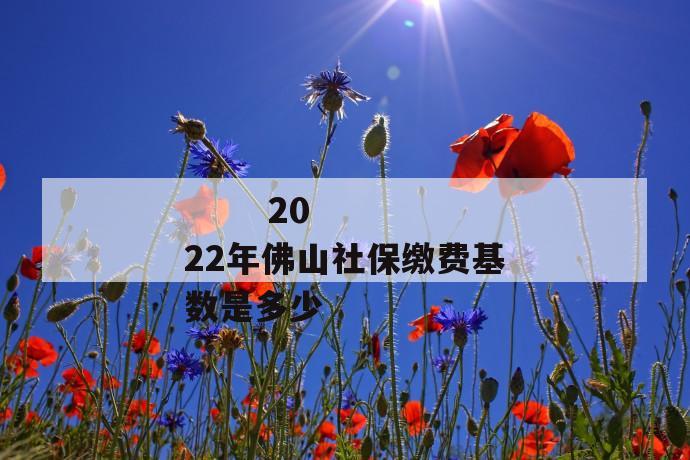 2022年佛山社保缴费基数是多少
2022年佛山社保缴费基数是多少