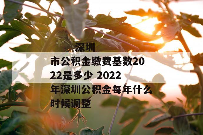深圳市公积金缴费基数2022是多少 2022年深圳公积金每年什么时候调整
深圳市公积金缴费基数2022是多少 2022年深圳公积金每年什么时候调整