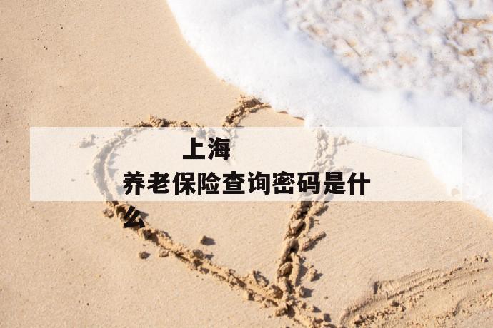 上海养老保险查询密码是什么
上海养老保险查询密码是什么