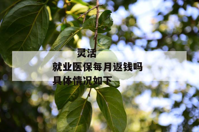 灵活就业医保每月返钱吗 具体情况如下
灵活就业医保每月返钱吗 具体情况如下