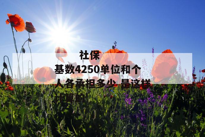 社保基数4250单位和个人各承担多少 是这样计算的
社保基数4250单位和个人各承担多少 是这样计算的