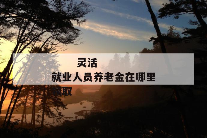 灵活就业人员养老金在哪里领取
灵活就业人员养老金在哪里领取