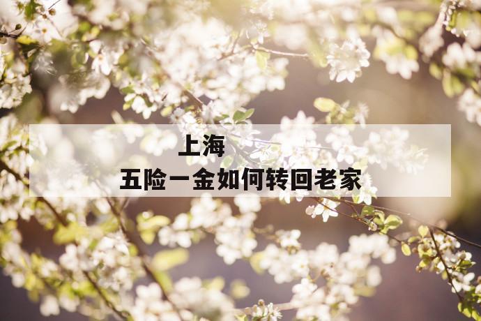 上海五险一金如何转回老家
上海五险一金如何转回老家