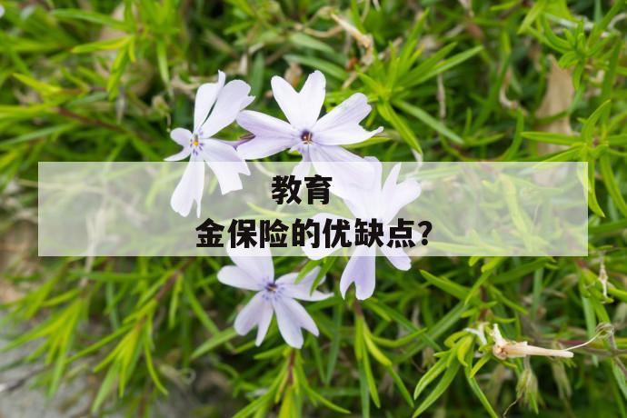 教育金保险的优缺点?
教育金保险的优缺点?