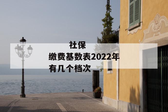 社保缴费基数表2022年有几个档次
社保缴费基数表2022年有几个档次