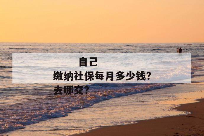 自己缴纳社保每月多少钱?去哪交?
自己缴纳社保每月多少钱?去哪交?