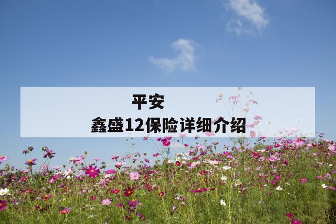 平安鑫盛12保险详细介绍
平安鑫盛12保险详细介绍