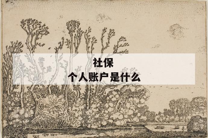 社保个人账户是什么
社保个人账户是什么