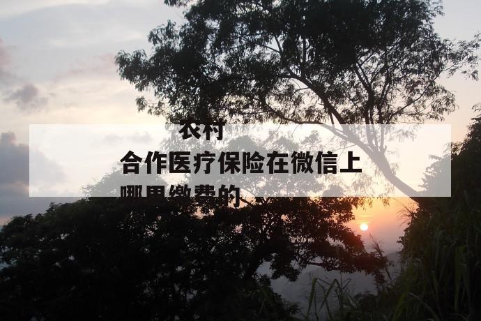 农村合作医疗保险在微信上哪里缴费的
农村合作医疗保险在微信上哪里缴费的