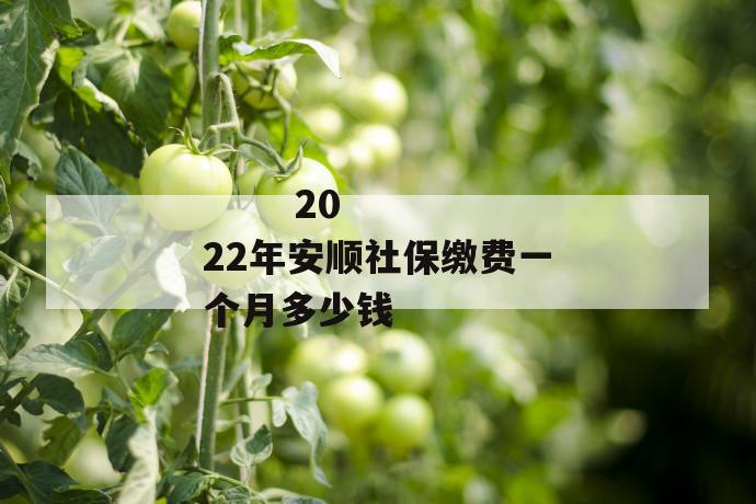 2022年安顺社保缴费一个月多少钱
2022年安顺社保缴费一个月多少钱