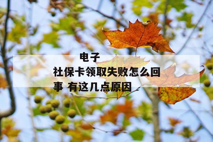 电子社保卡领取失败怎么回事 有这几点原因
电子社保卡领取失败怎么回事 有这几点原因