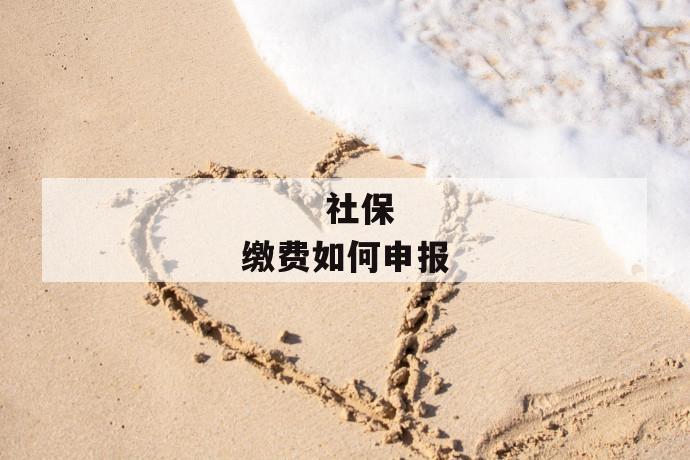 社保缴费如何申报
社保缴费如何申报