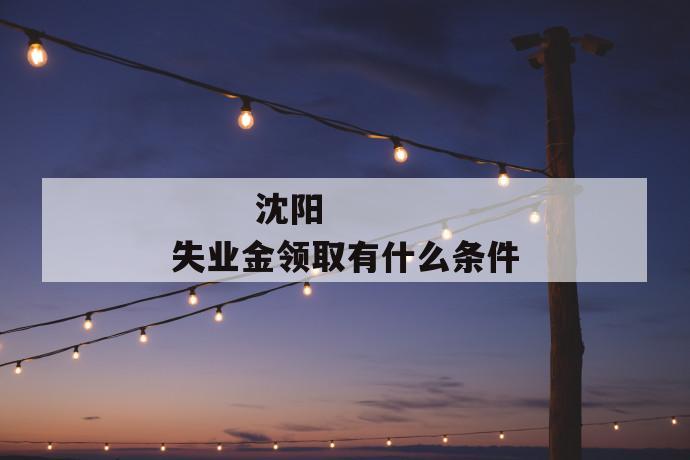 沈阳失业金领取有什么条件
沈阳失业金领取有什么条件