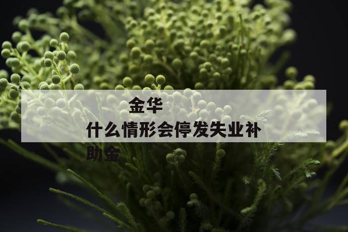 金华什么情形会停发失业补助金
金华什么情形会停发失业补助金