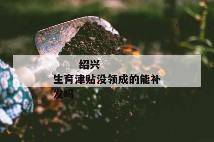 绍兴生育津贴没领成的能补发吗
绍兴生育津贴没领成的能补发吗