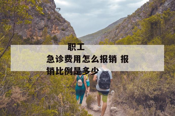 职工急诊费用怎么报销 报销比例是多少
职工急诊费用怎么报销 报销比例是多少