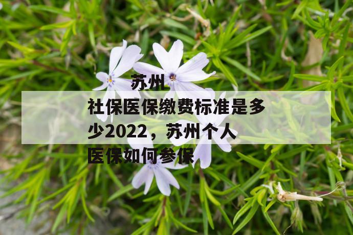 苏州社保医保缴费标准是多少2022,苏州个人医保如何参保
苏州社保医保缴费标准是多少2022,苏州个人医保如何参保