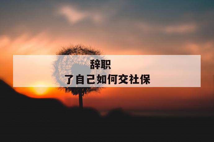辞职了自己如何交社保
辞职了自己如何交社保