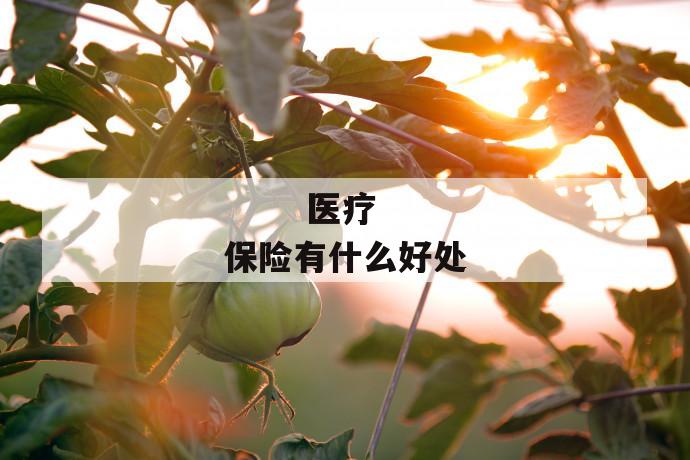 医疗保险有什么好处
医疗保险有什么好处