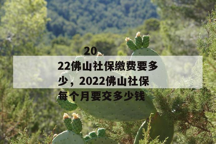 2022佛山社保缴费要多少,2022佛山社保每个月要交多少钱
2022佛山社保缴费要多少,2022佛山社保每个月要交多少钱