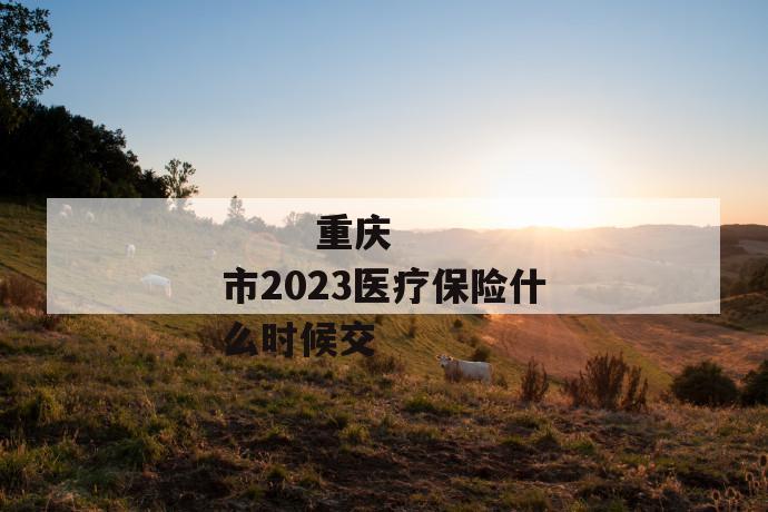 重庆市2023医疗保险什么时候交
重庆市2023医疗保险什么时候交