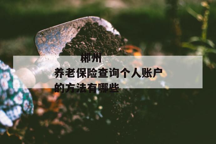 郴州养老保险查询个人账户的方法有哪些
郴州养老保险查询个人账户的方法有哪些