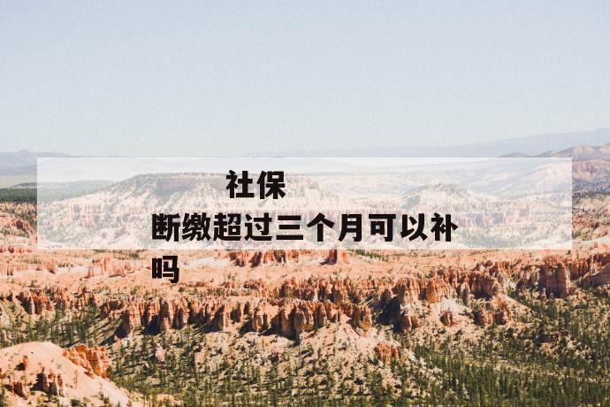 社保断缴超过三个月可以补吗
社保断缴超过三个月可以补吗