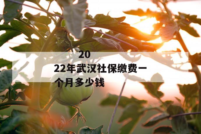 2022年武汉社保缴费一个月多少钱
2022年武汉社保缴费一个月多少钱