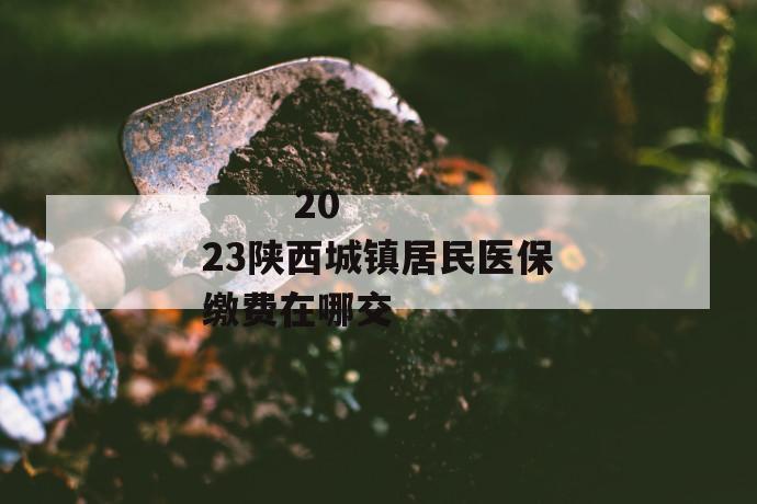 2023陕西城镇居民医保缴费在哪交
2023陕西城镇居民医保缴费在哪交
