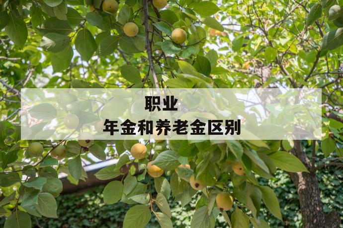 职业年金和养老金区别
职业年金和养老金区别
