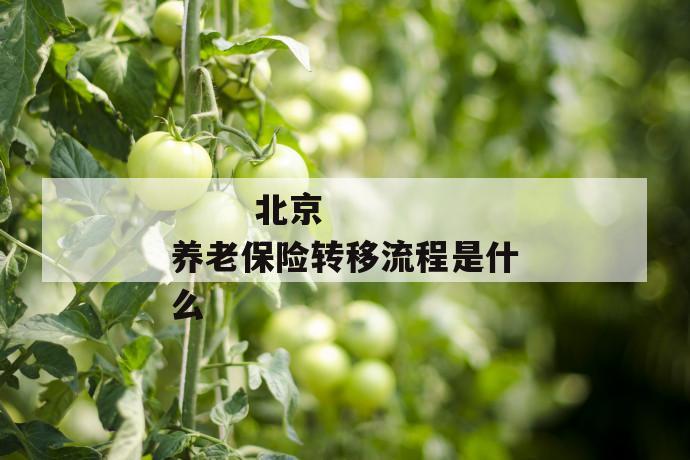 北京养老保险转移流程是什么
北京养老保险转移流程是什么