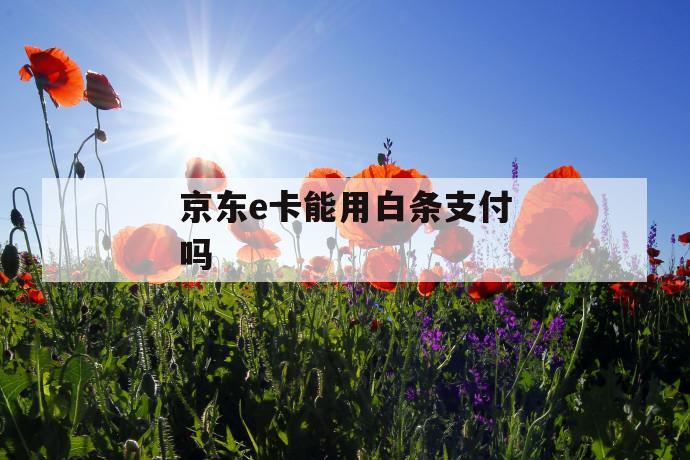 京东e卡能用白条支付吗 京东e卡能用白条支付吗
