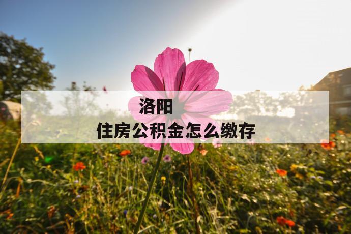 洛阳住房公积金怎么缴存
洛阳住房公积金怎么缴存